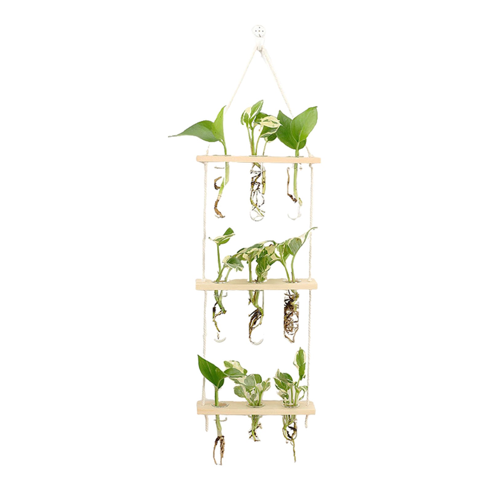 Wall-Mounted Test Tube Vase