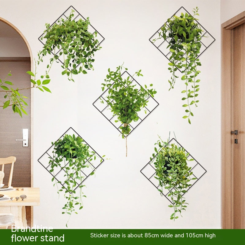 Green Plant Hanging Basket